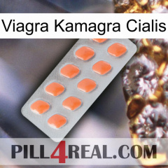 Viagra Kamagra Cialis 26